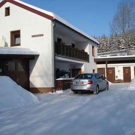 Apartament Haus Steinwaldblick Bernlohe  Zewnętrze zdjęcie