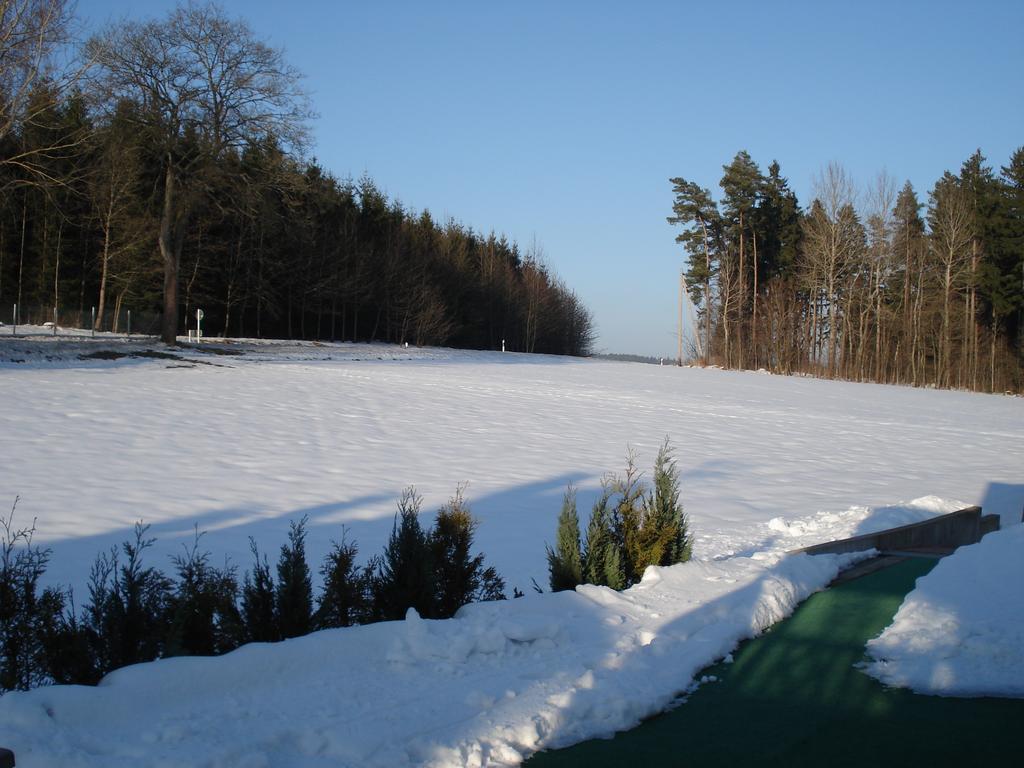 Apartament Haus Steinwaldblick Bernlohe  Zewnętrze zdjęcie